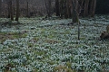 20 02 12_6172